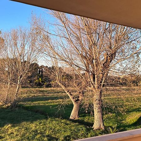 Apartamento Lizzies Hus Fiumicino Exterior foto