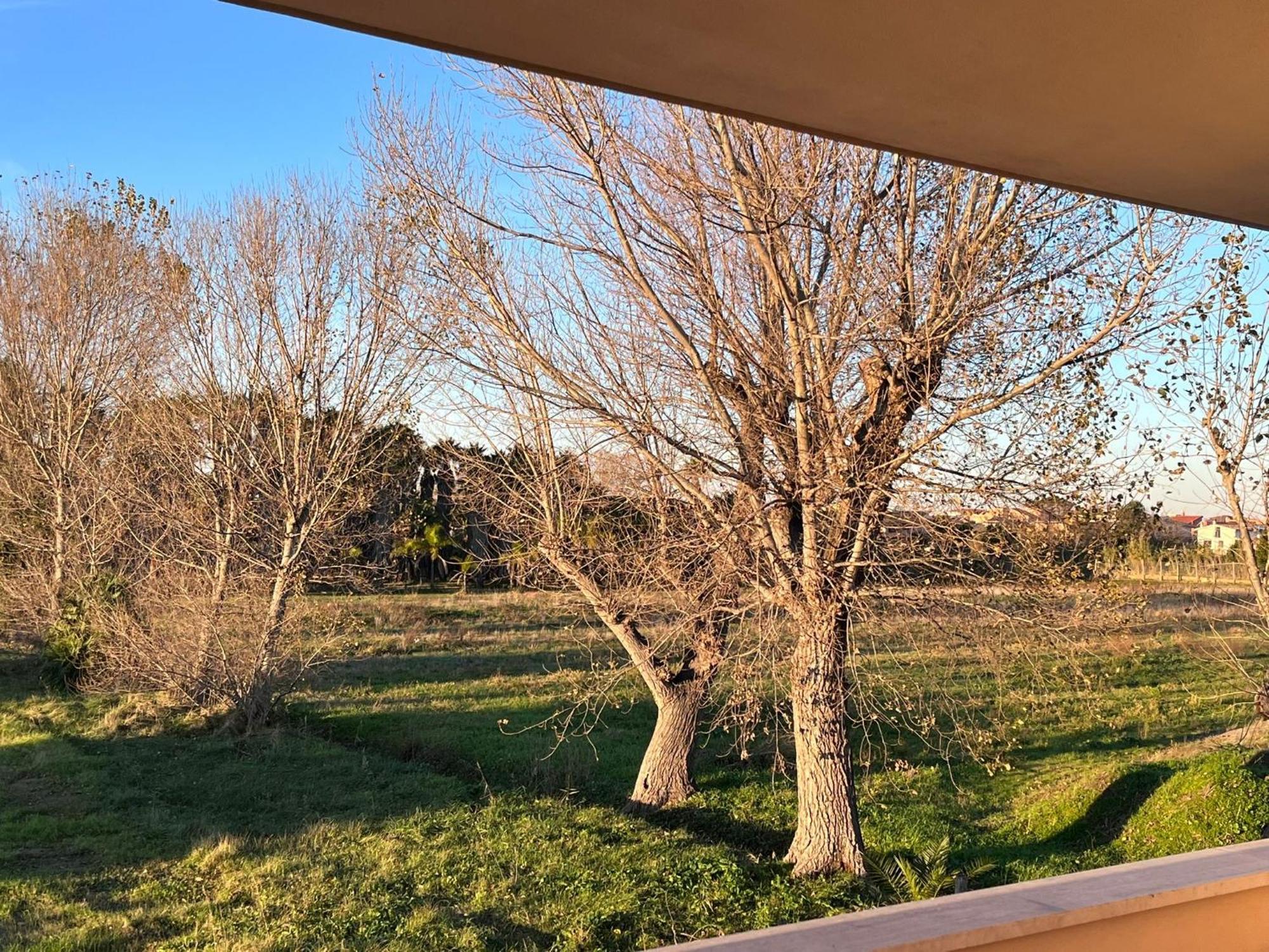 Apartamento Lizzies Hus Fiumicino Exterior foto